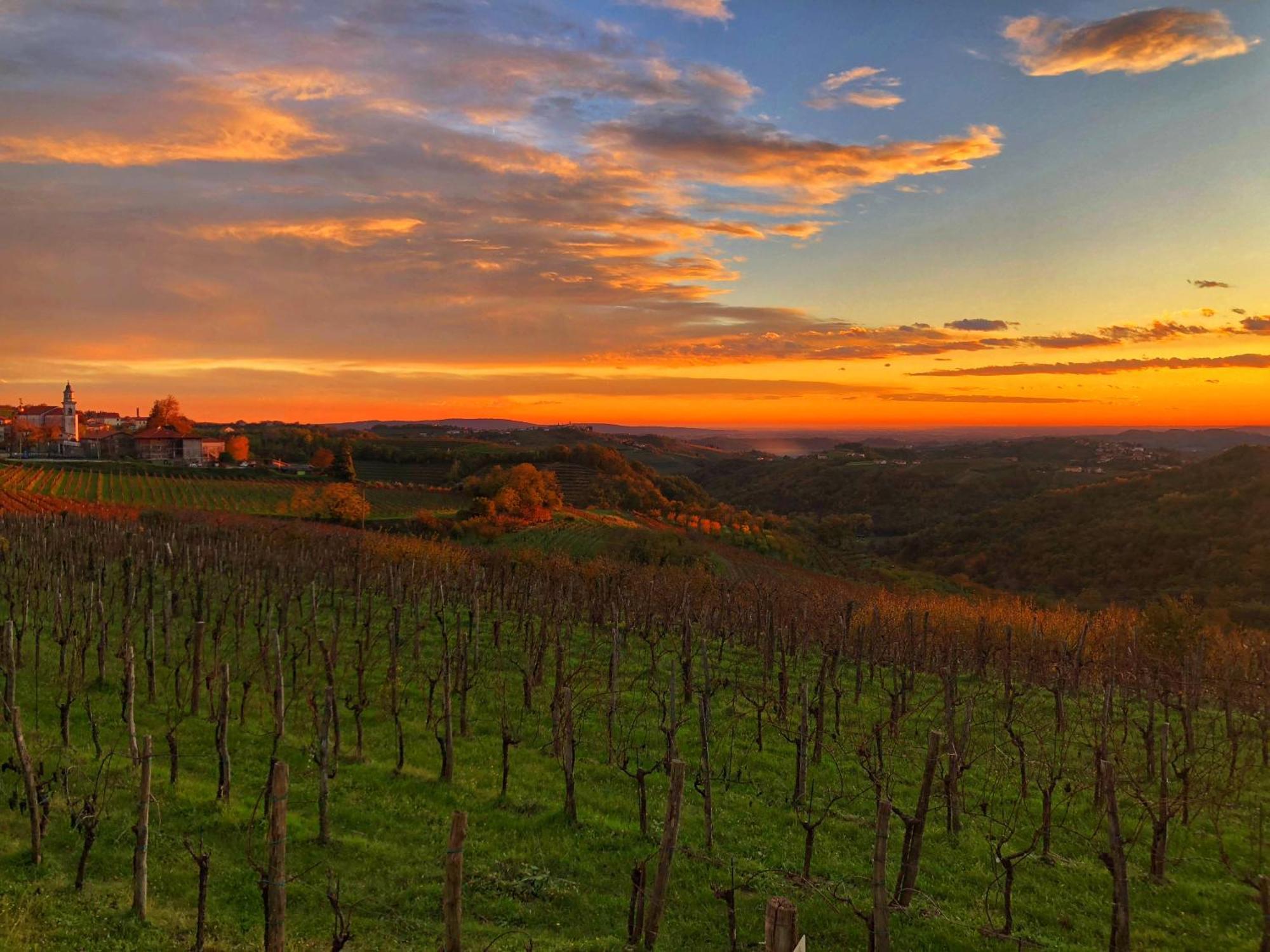 Peterc Vineyard Estate *