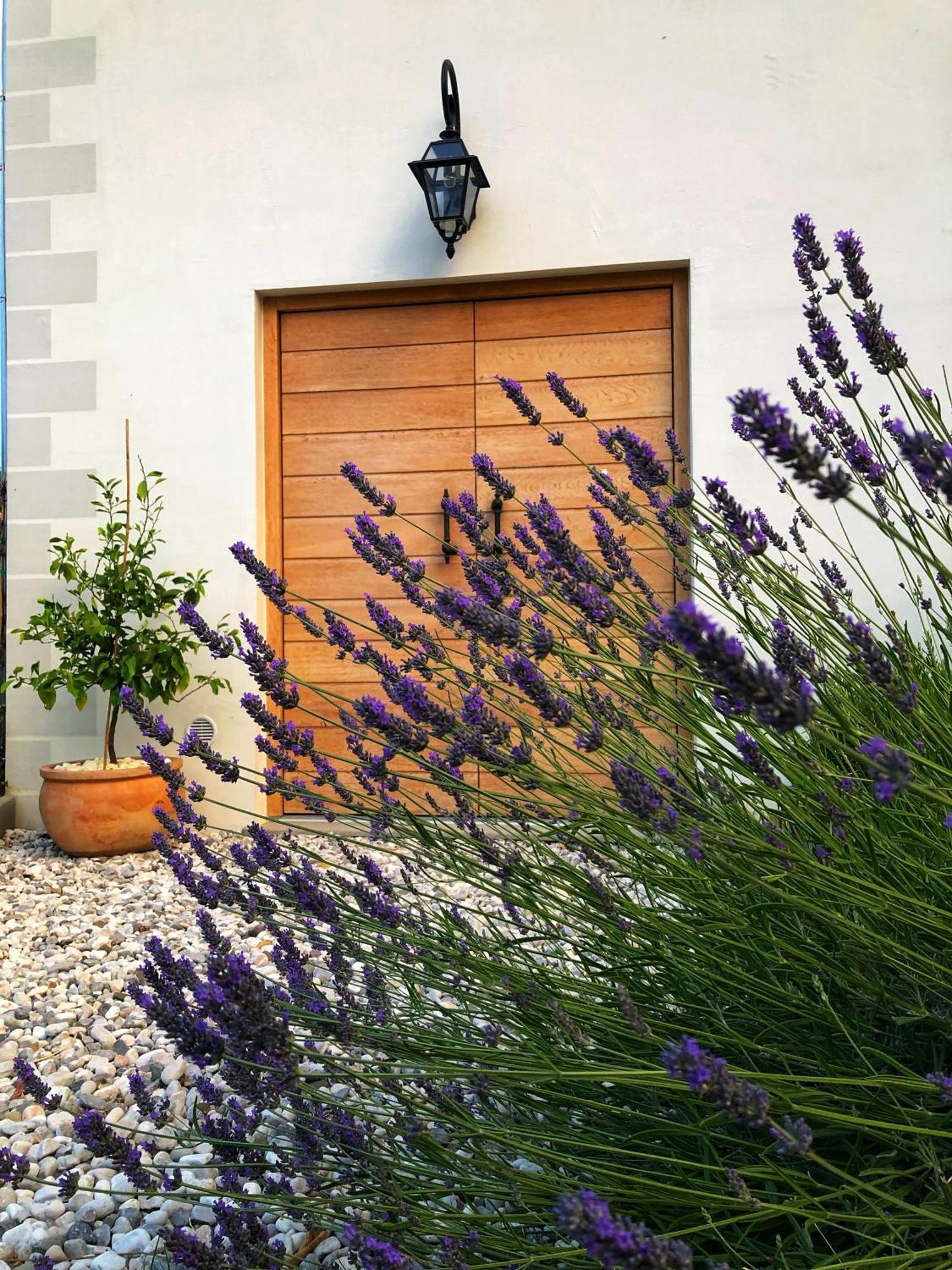 Peterc Vineyard Estate Bed & Breakfast